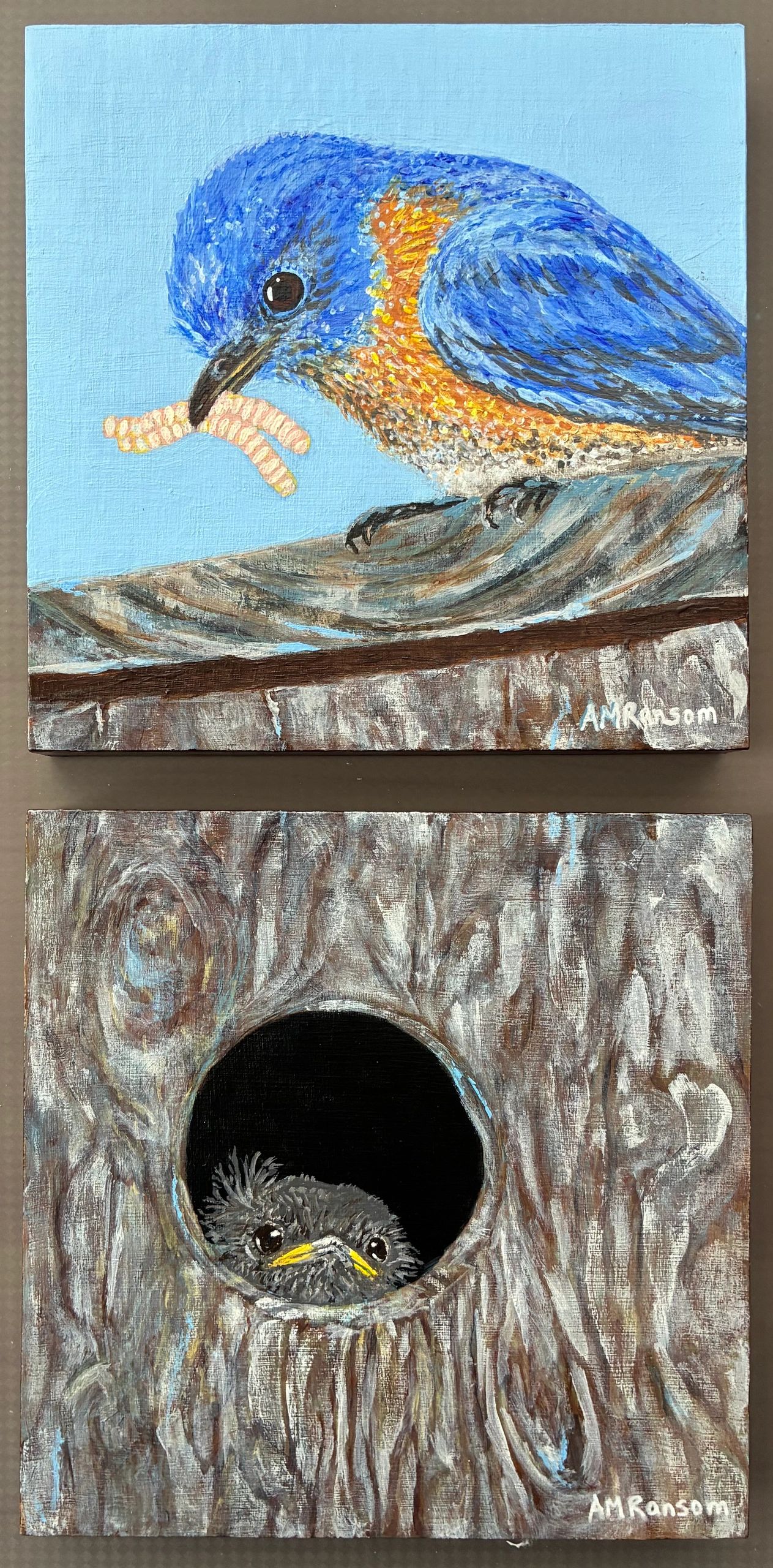 Original acrylic painting of a Greater Yellowlegs by AM Ransom